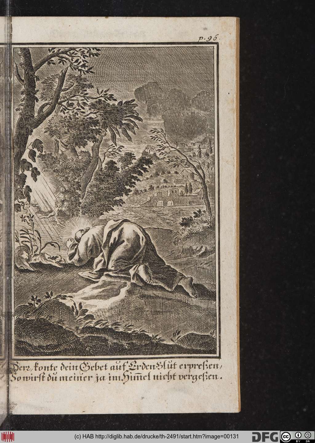 http://diglib.hab.de/drucke/th-2491/00131.jpg