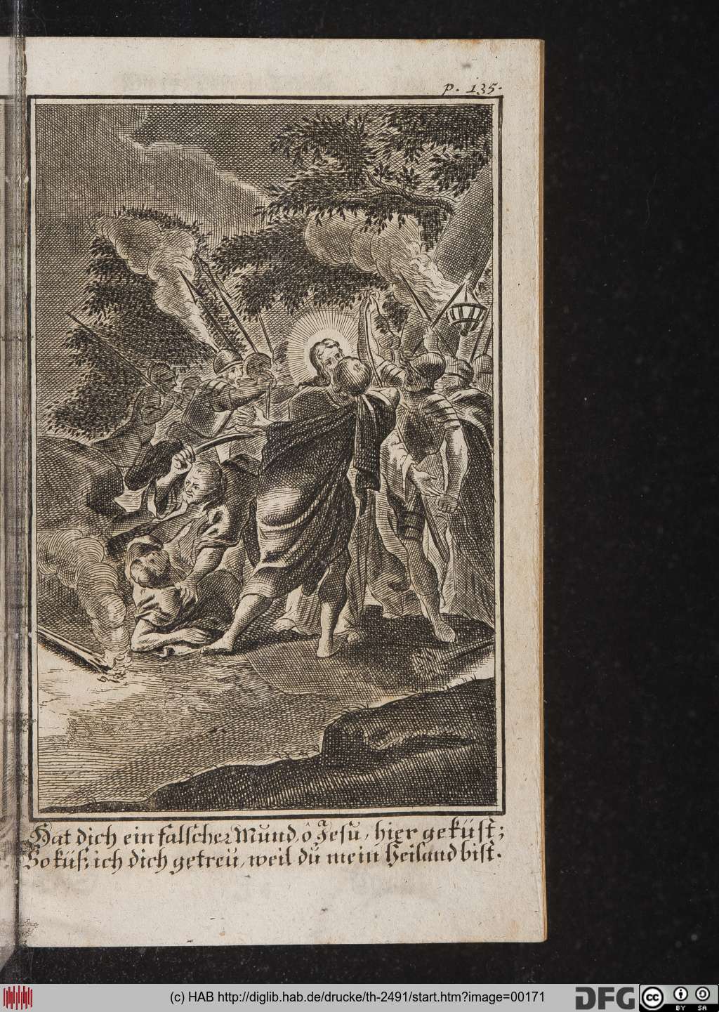 http://diglib.hab.de/drucke/th-2491/00171.jpg