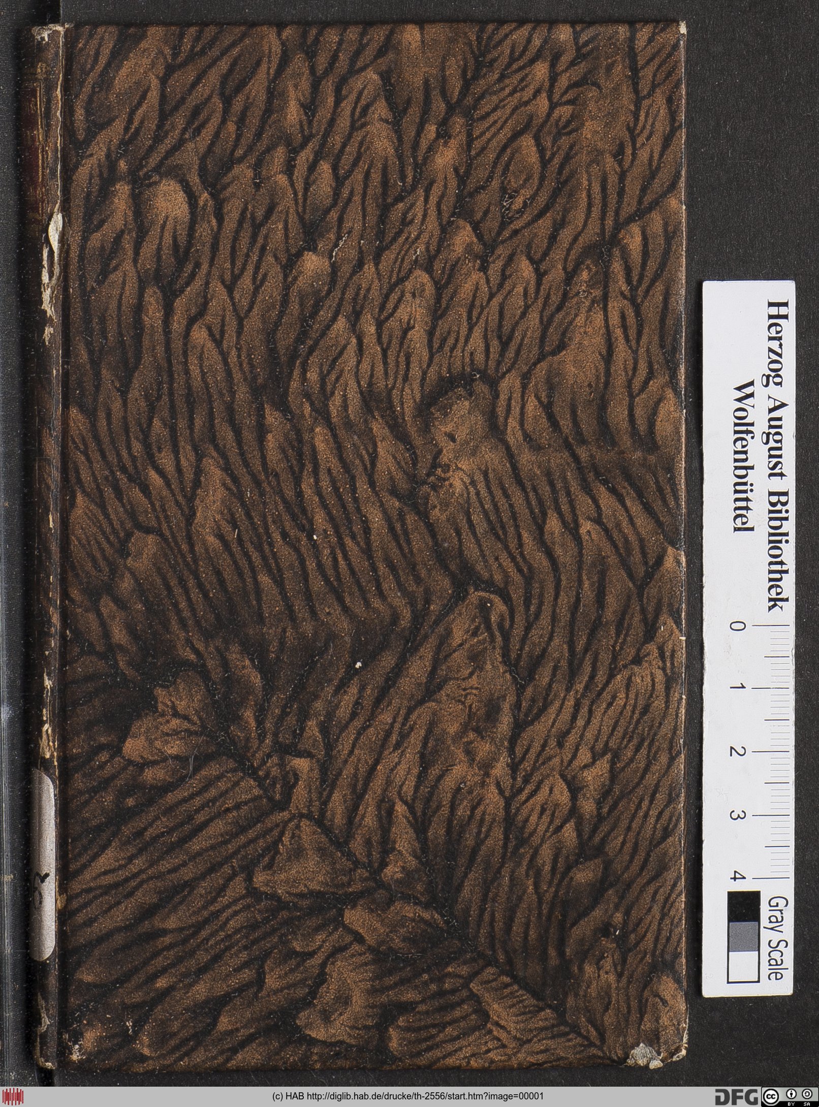 http://diglib.hab.de/drucke/th-2556/max/00001.jpg