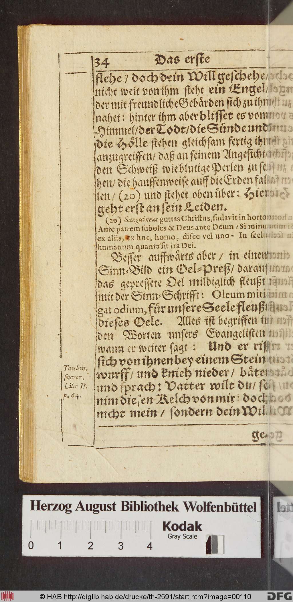 http://diglib.hab.de/drucke/th-2591/00110.jpg