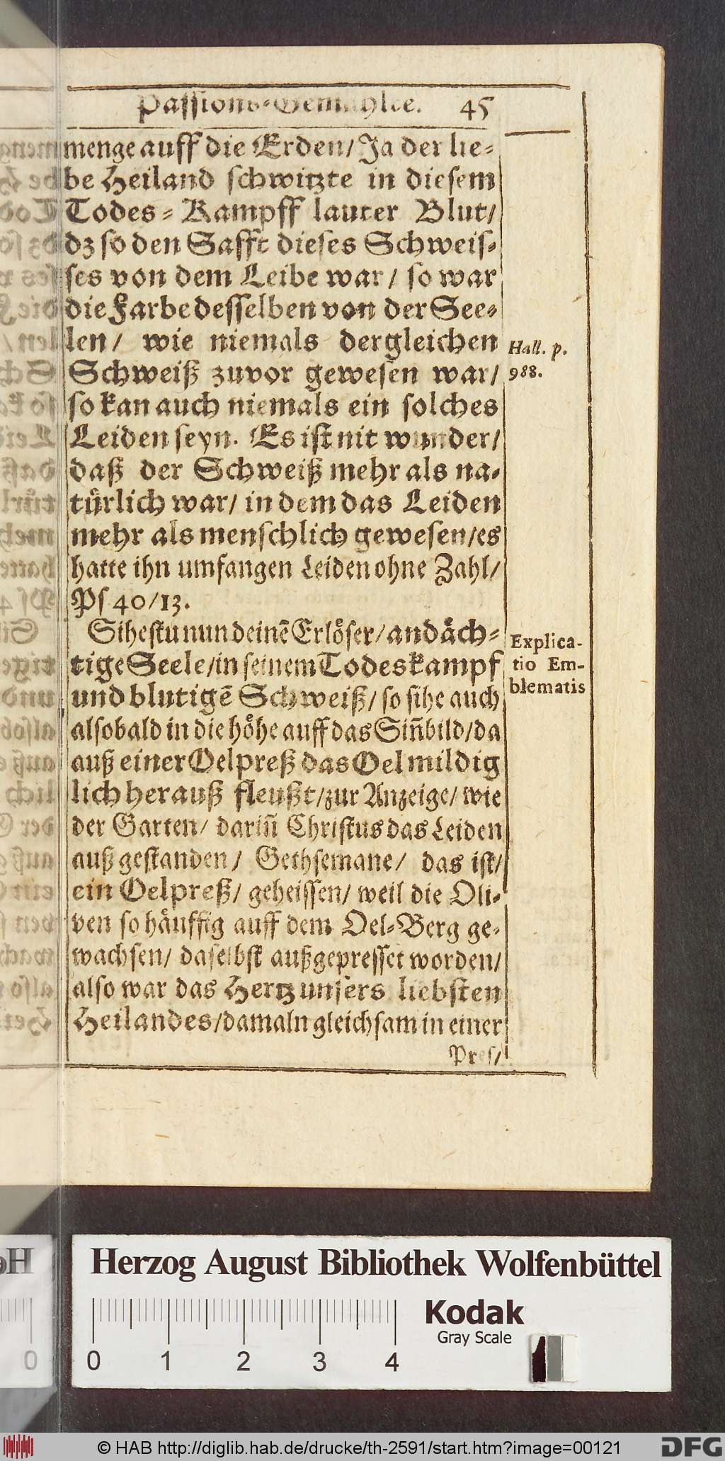 http://diglib.hab.de/drucke/th-2591/00121.jpg