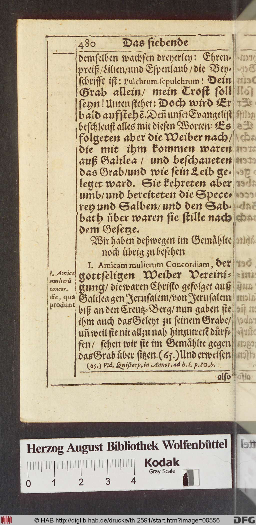 http://diglib.hab.de/drucke/th-2591/00556.jpg