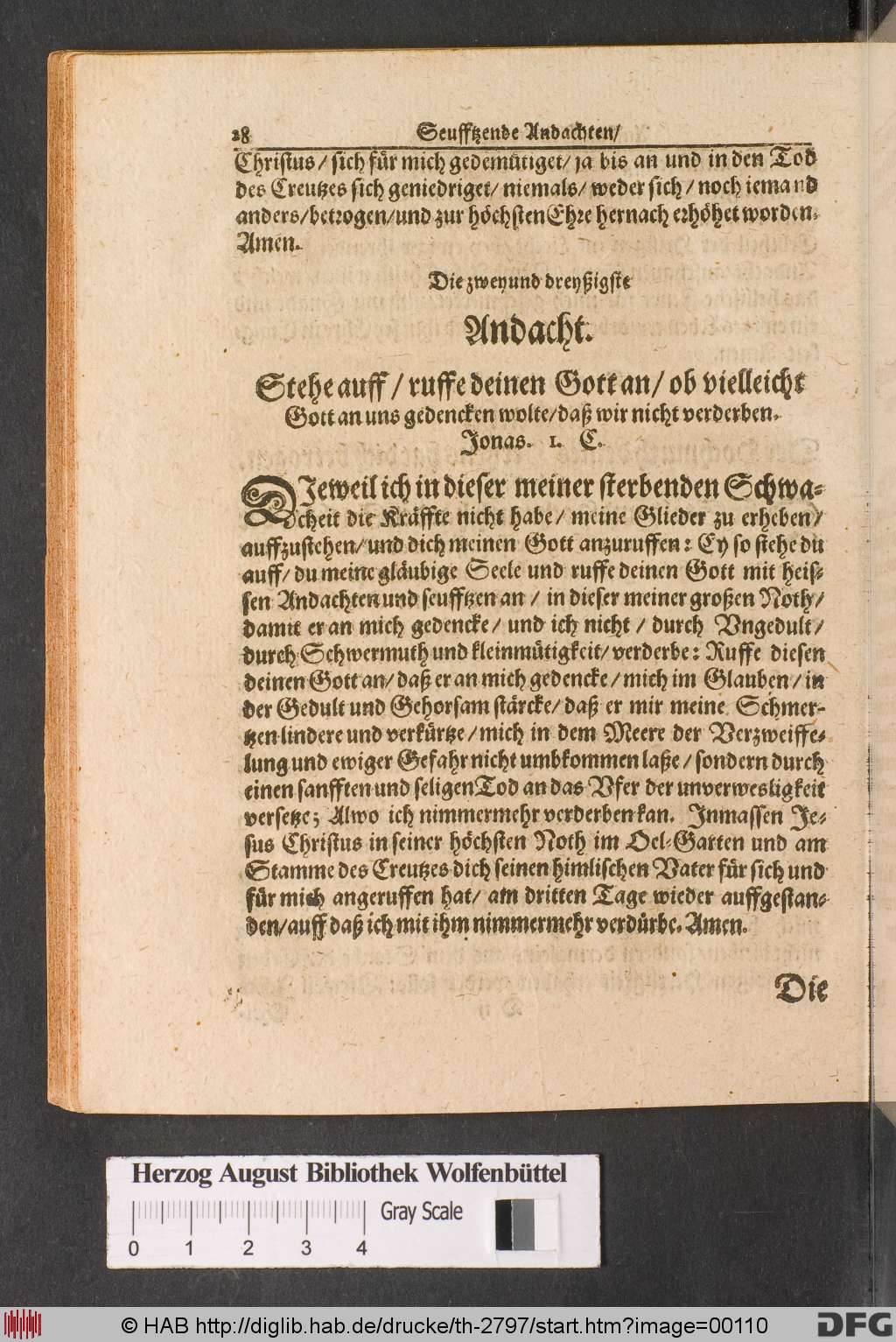 http://diglib.hab.de/drucke/th-2797/00110.jpg
