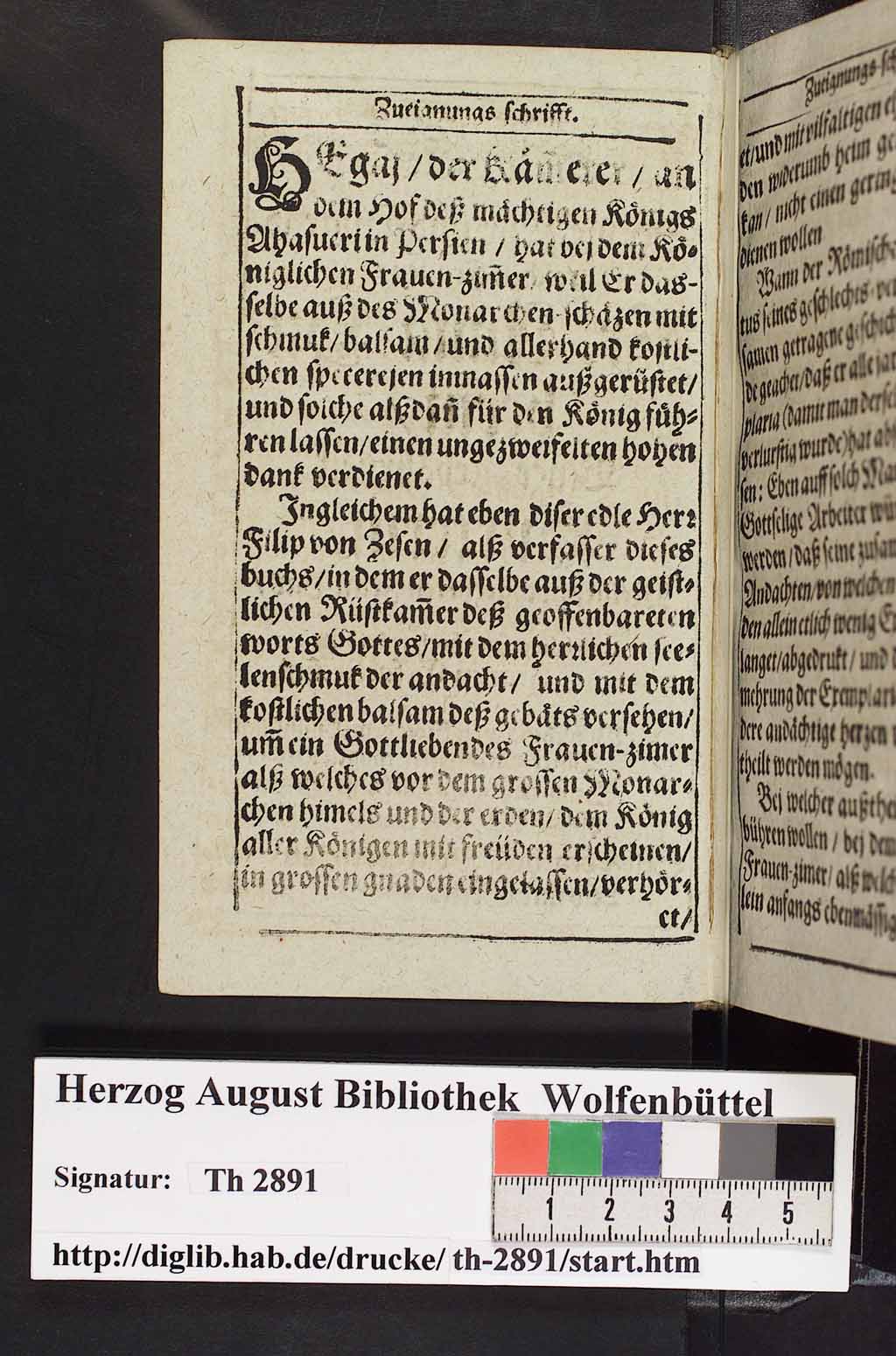 http://diglib.hab.de/drucke/th-2891/00009.jpg