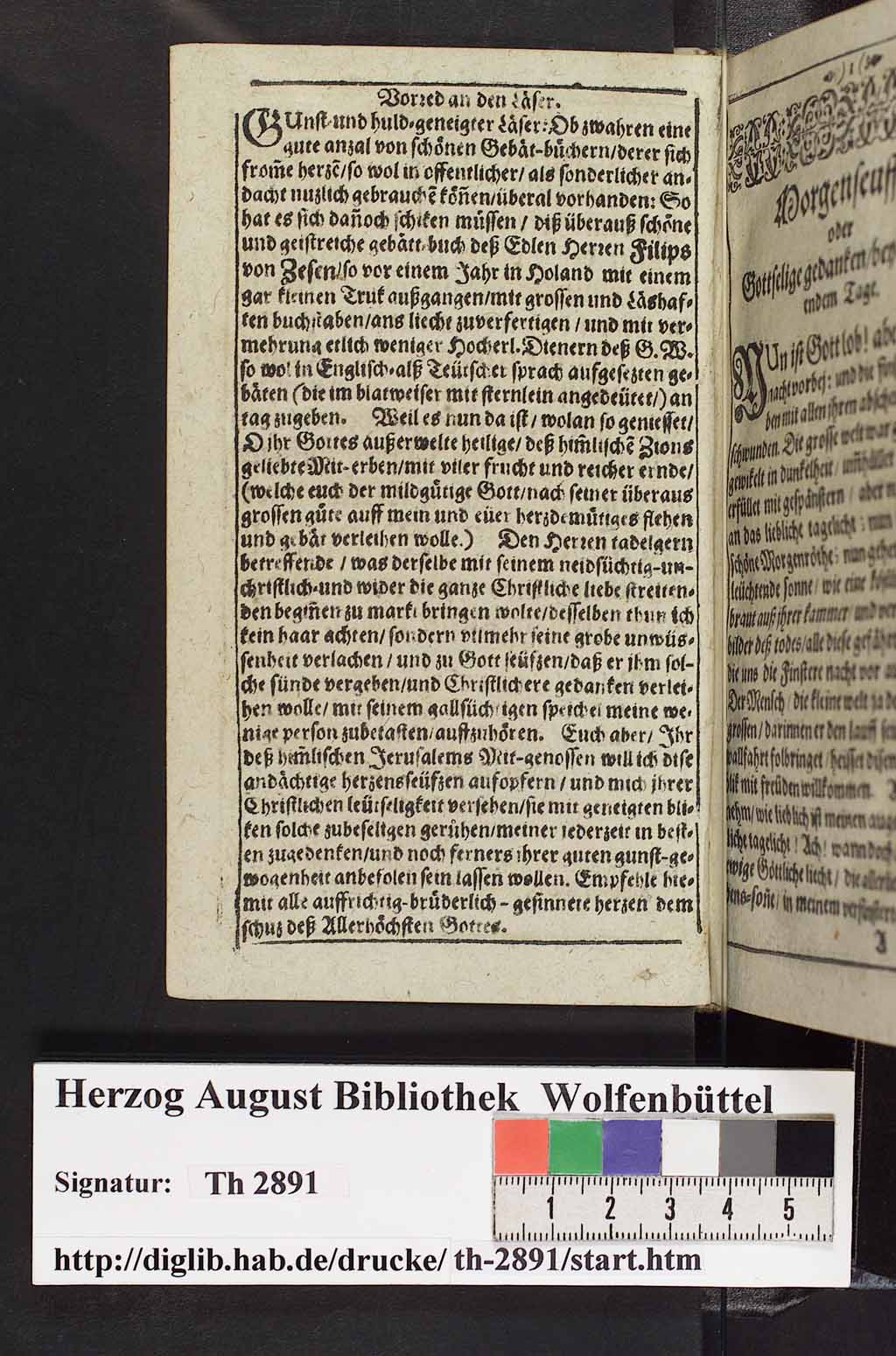 http://diglib.hab.de/drucke/th-2891/00013.jpg