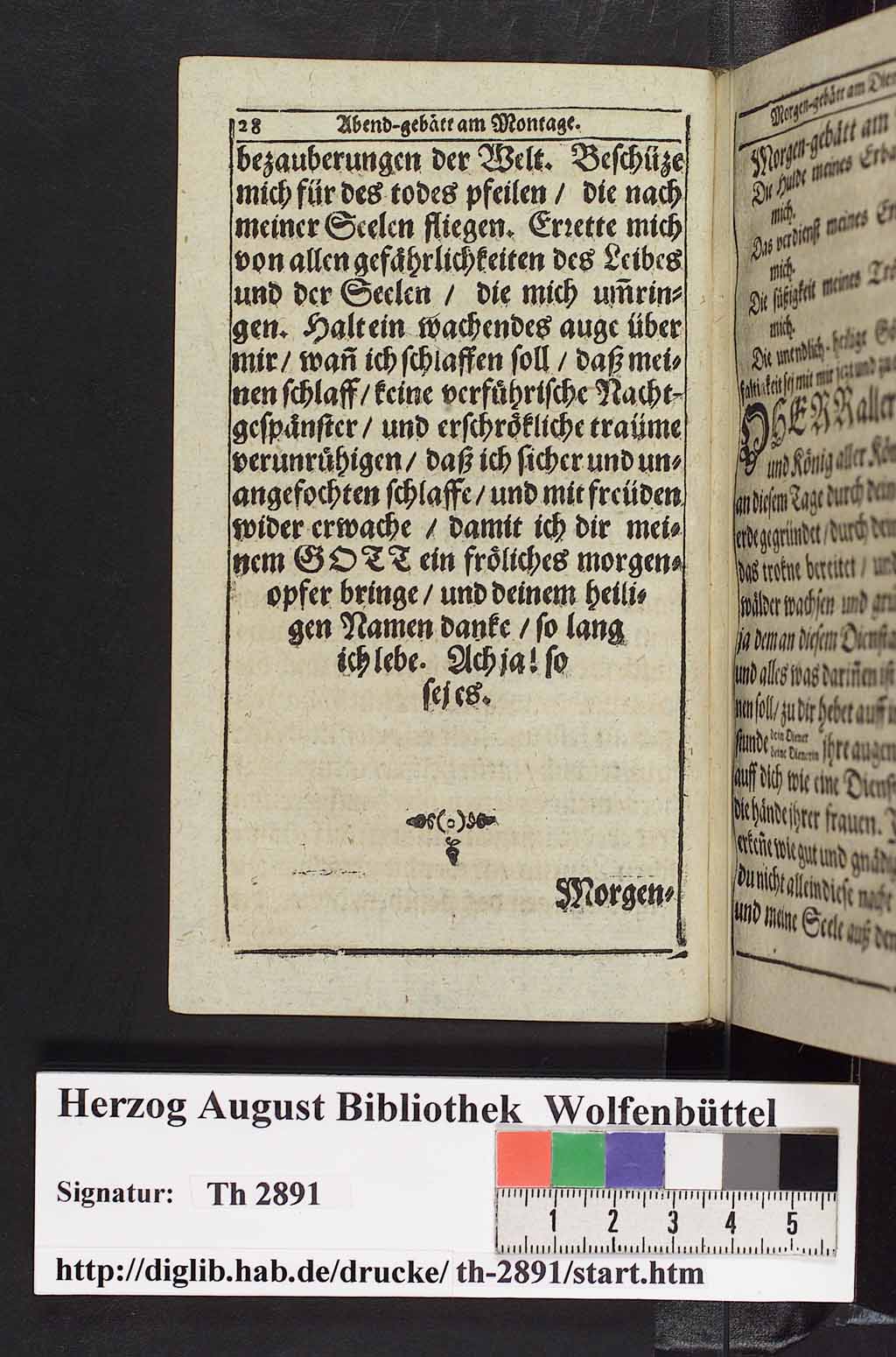 http://diglib.hab.de/drucke/th-2891/00041.jpg