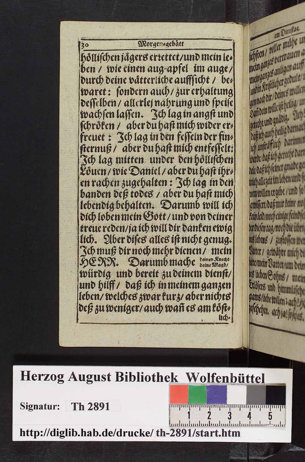 http://diglib.hab.de/drucke/th-2891/00043.jpg