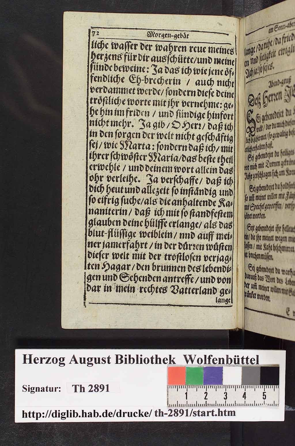 http://diglib.hab.de/drucke/th-2891/00085.jpg