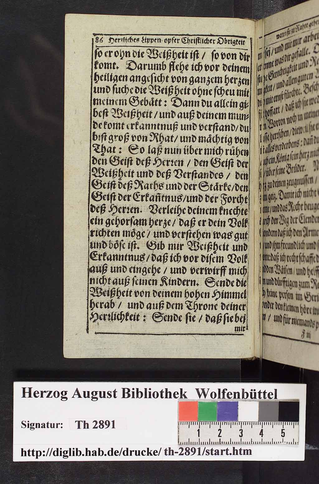 http://diglib.hab.de/drucke/th-2891/00099.jpg