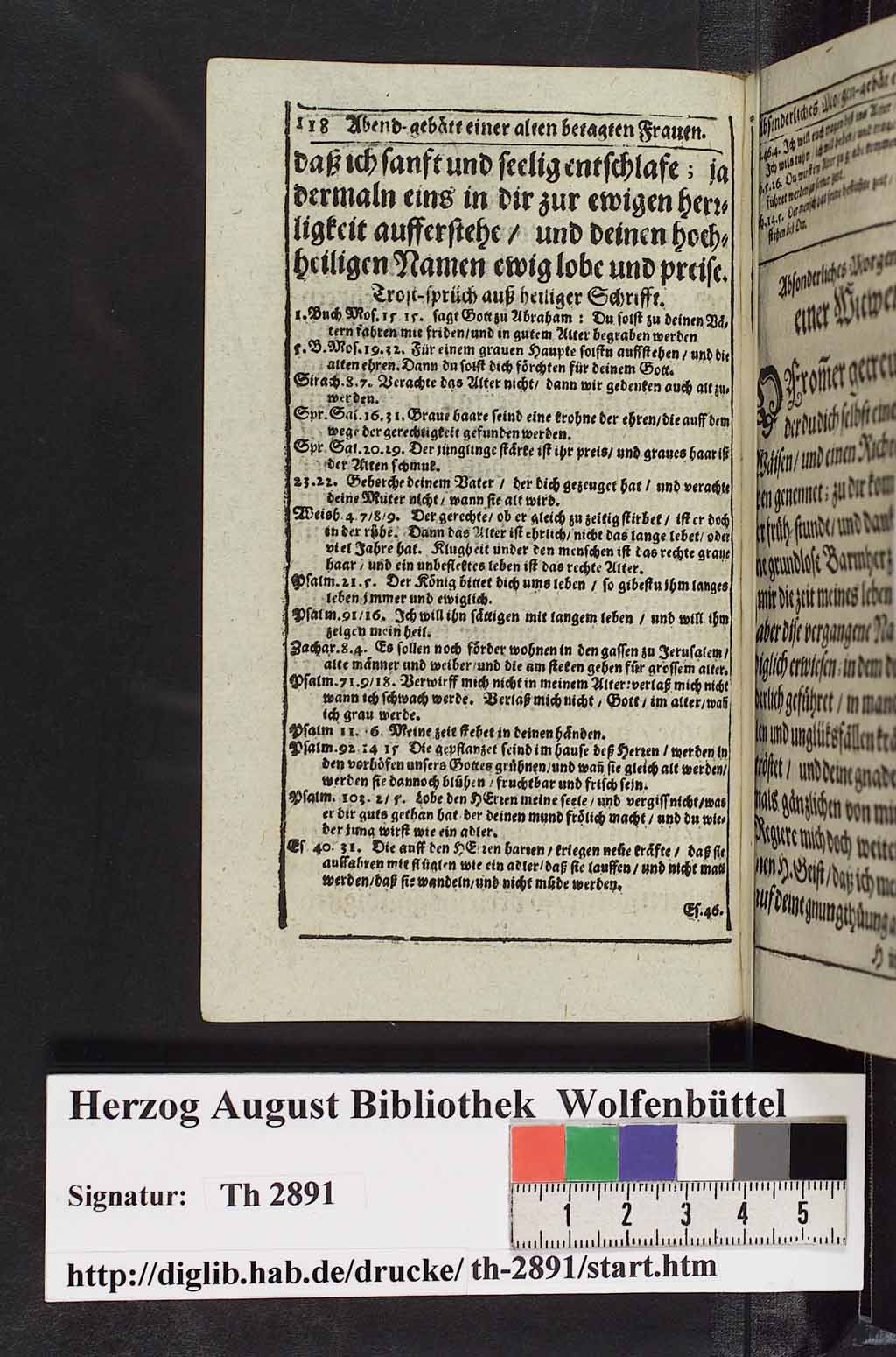 http://diglib.hab.de/drucke/th-2891/00131.jpg