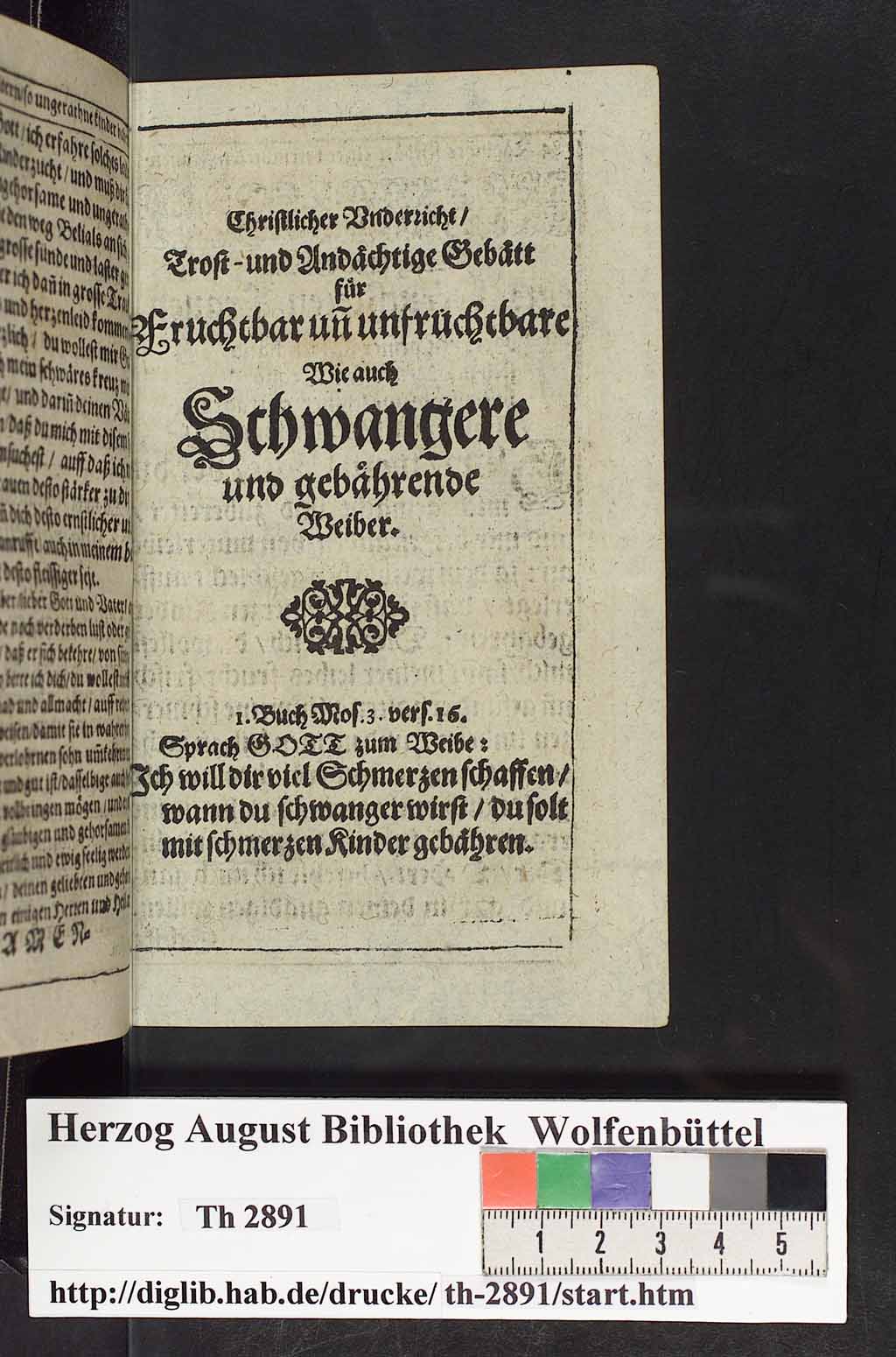 http://diglib.hab.de/drucke/th-2891/00196.jpg