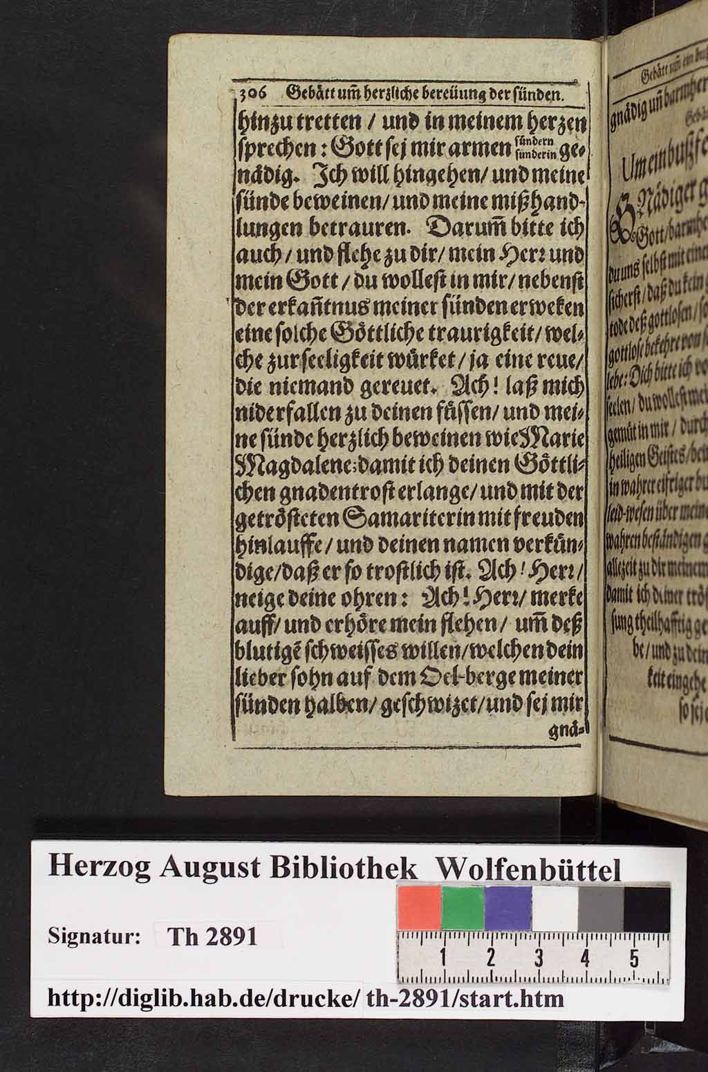http://diglib.hab.de/drucke/th-2891/00319.jpg