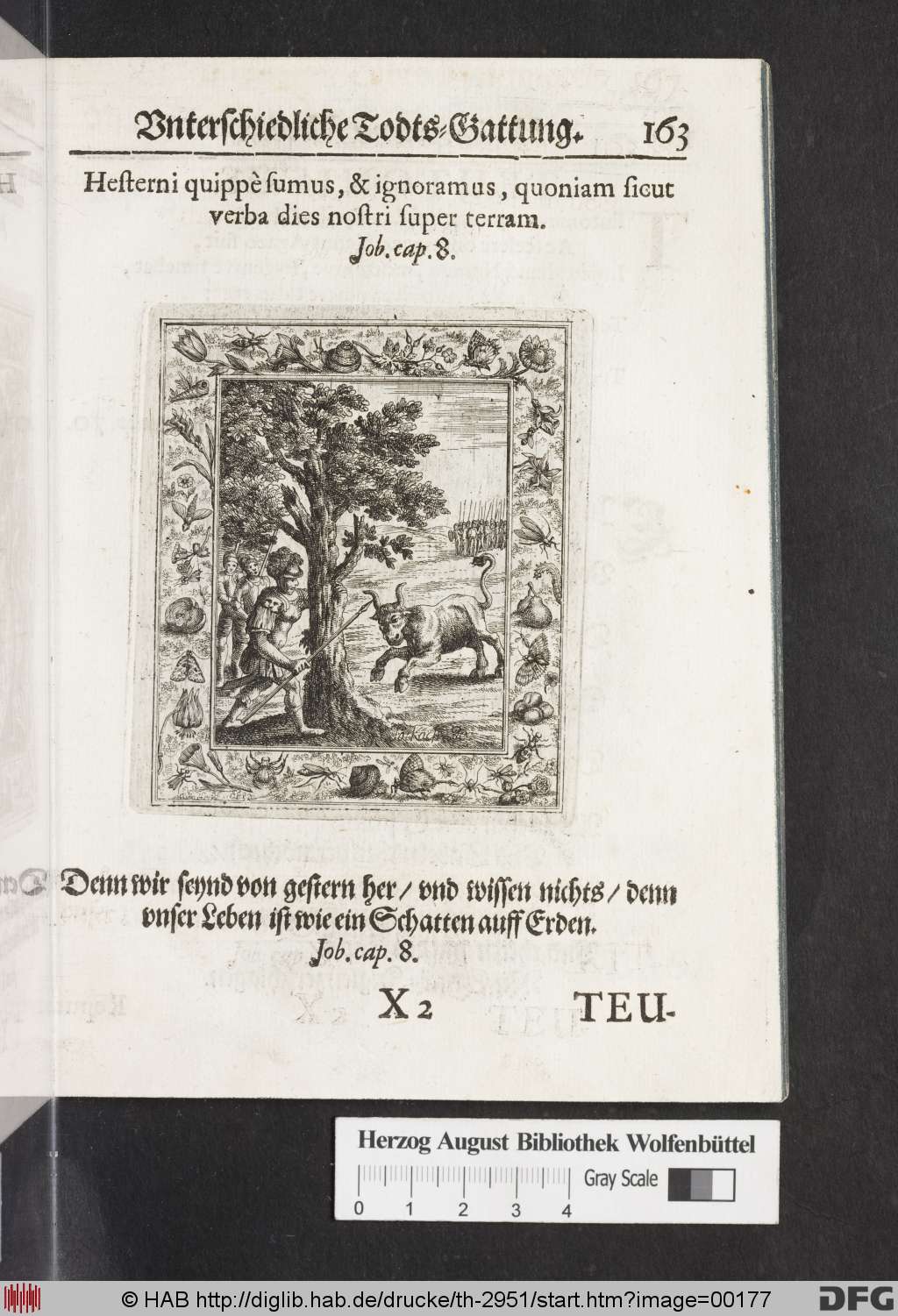 http://diglib.hab.de/drucke/th-2951/00177.jpg