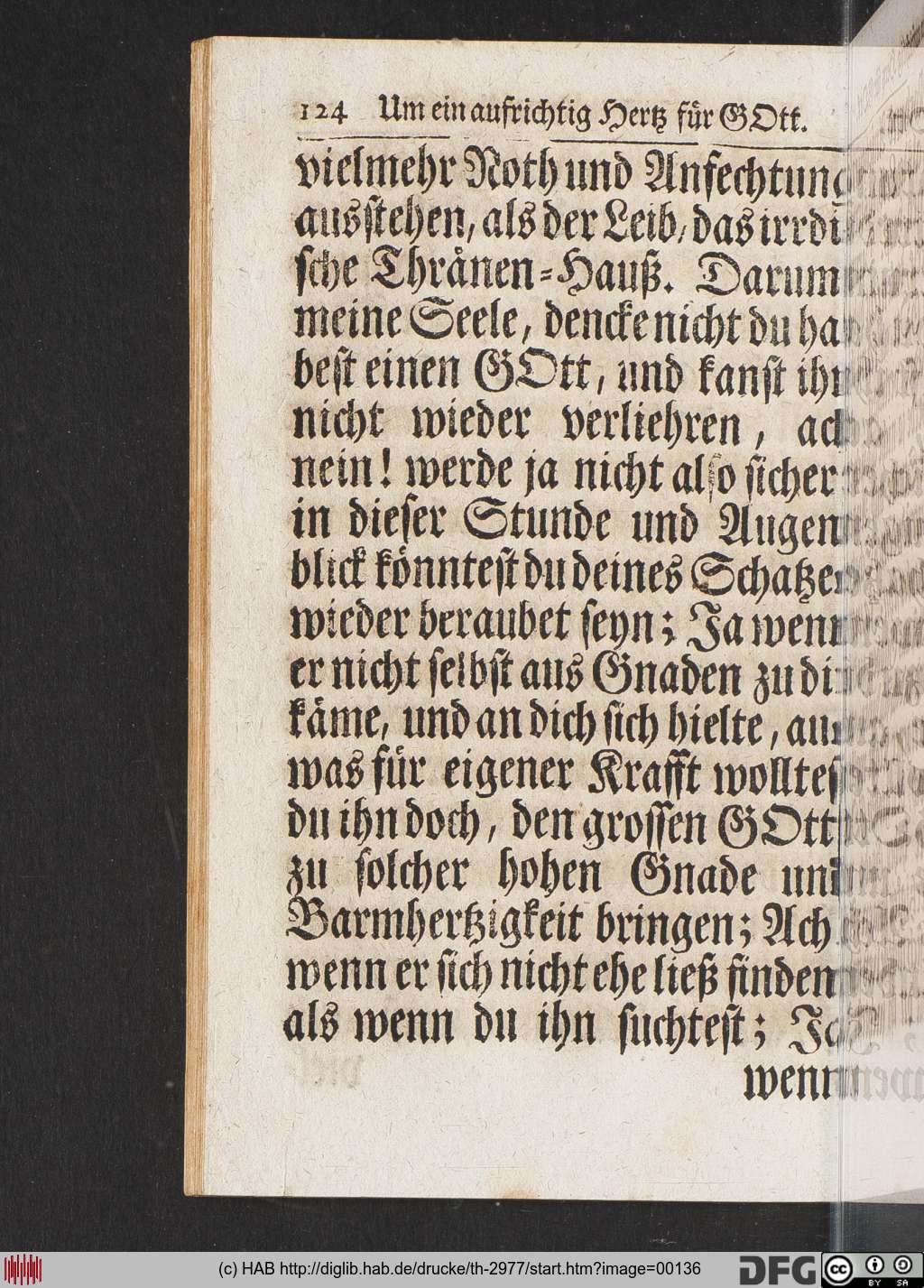 http://diglib.hab.de/drucke/th-2977/00136.jpg