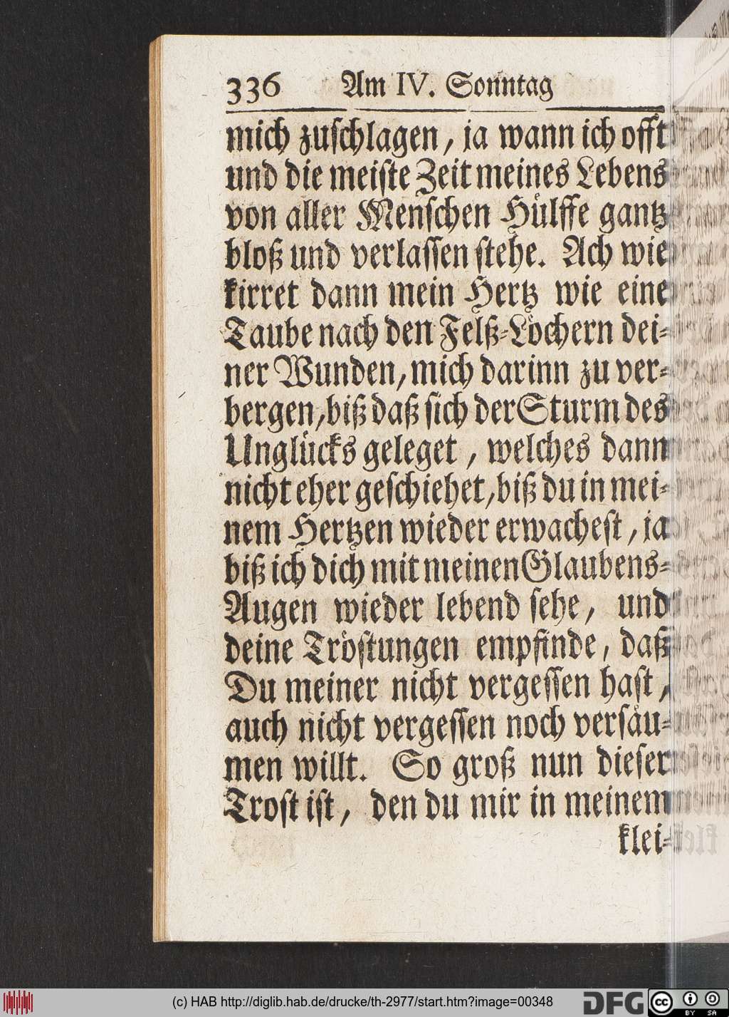 http://diglib.hab.de/drucke/th-2977/00348.jpg