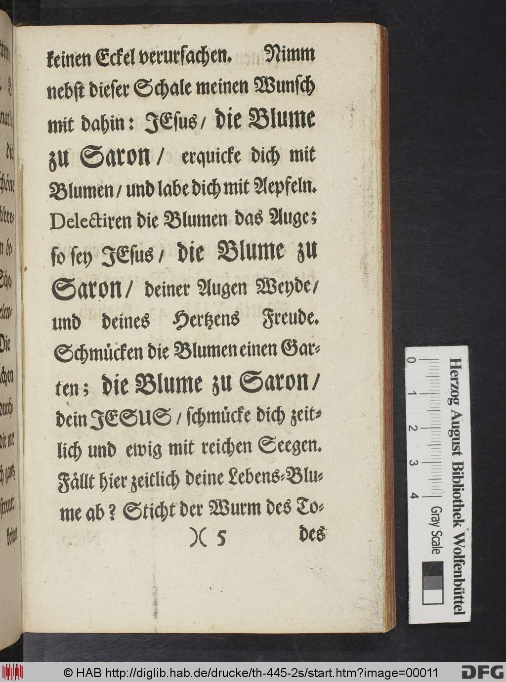 http://diglib.hab.de/drucke/th-445-2s/00011.jpg