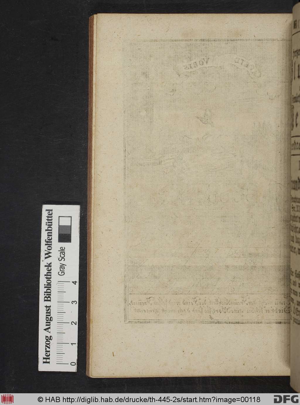 http://diglib.hab.de/drucke/th-445-2s/00118.jpg