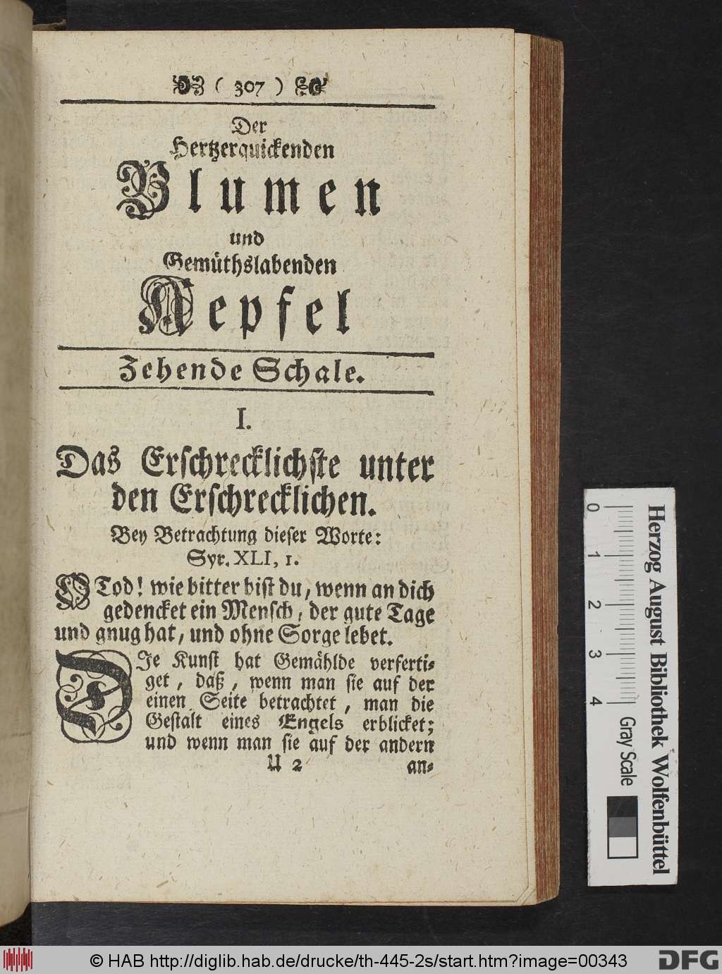 http://diglib.hab.de/drucke/th-445-2s/00343.jpg