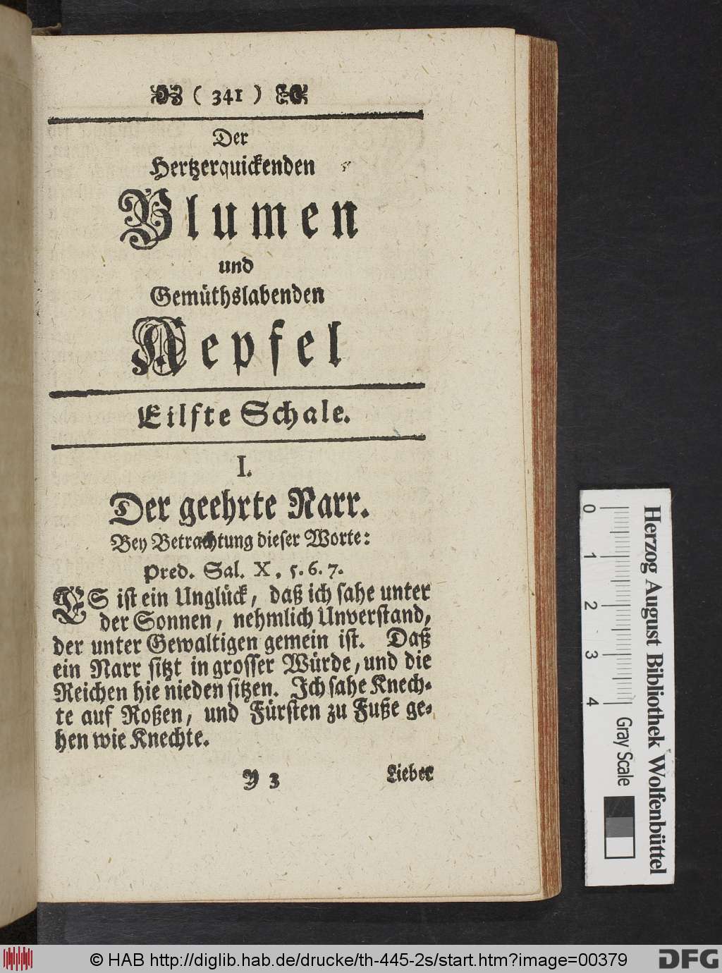 http://diglib.hab.de/drucke/th-445-2s/00379.jpg