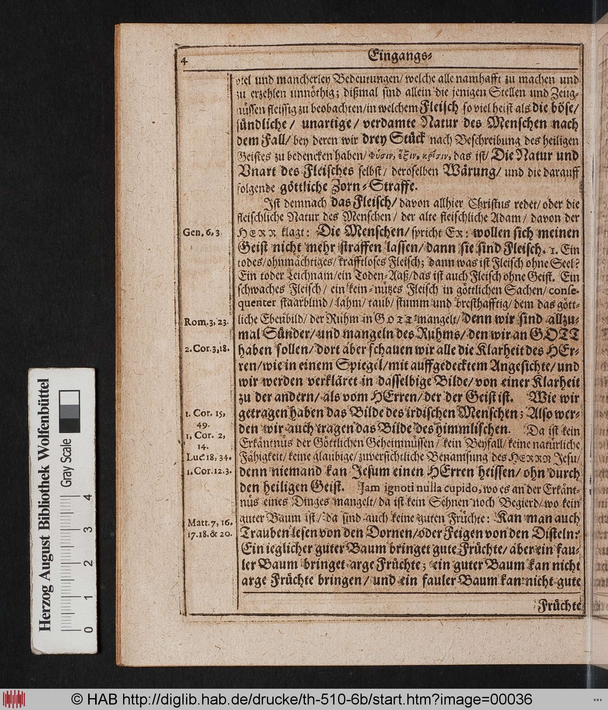 http://diglib.hab.de/drucke/th-510-6b/max/00036.jpg