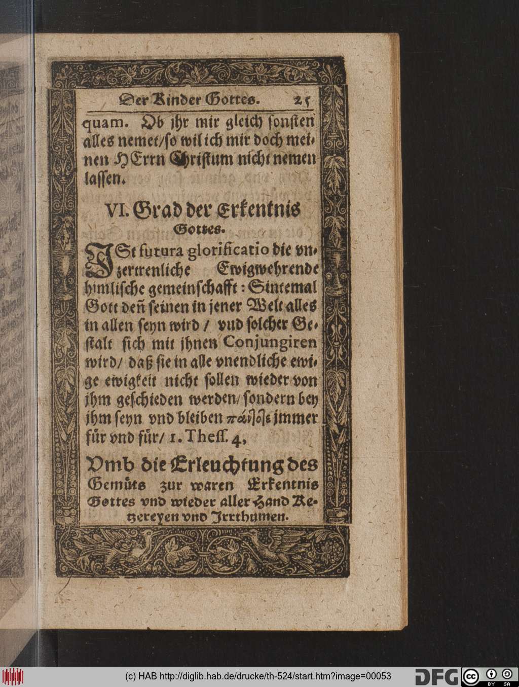 http://diglib.hab.de/drucke/th-524/00053.jpg