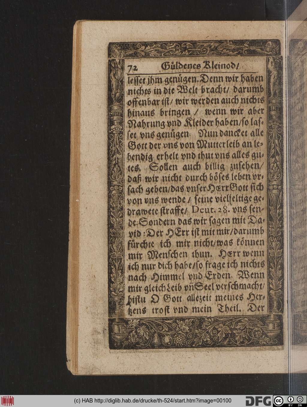 http://diglib.hab.de/drucke/th-524/00100.jpg