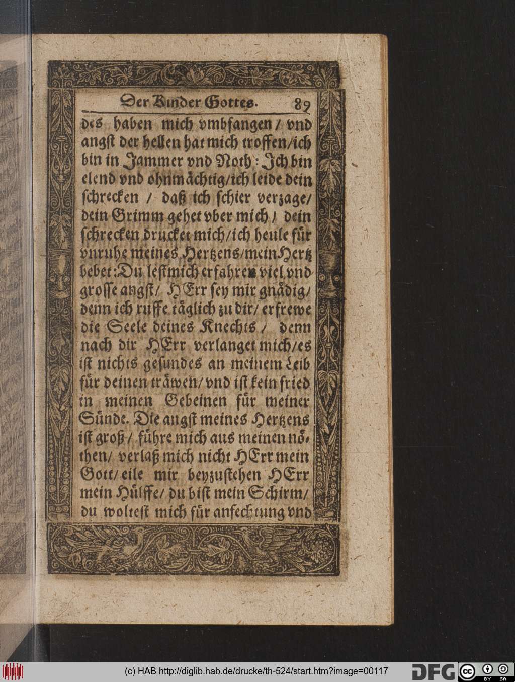 http://diglib.hab.de/drucke/th-524/00117.jpg