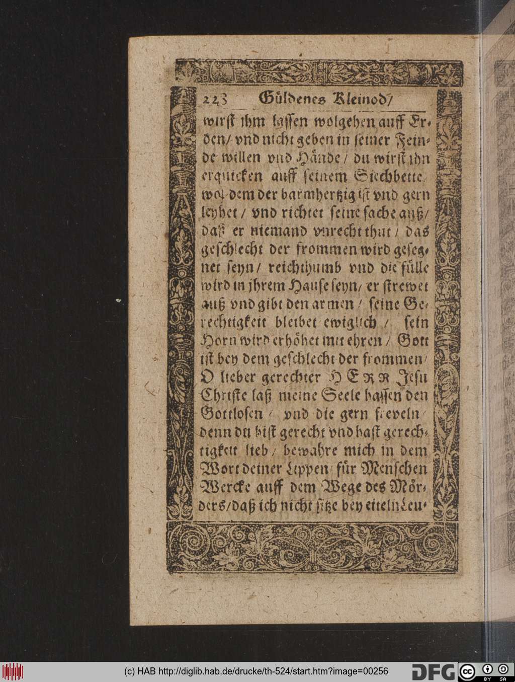 http://diglib.hab.de/drucke/th-524/00256.jpg