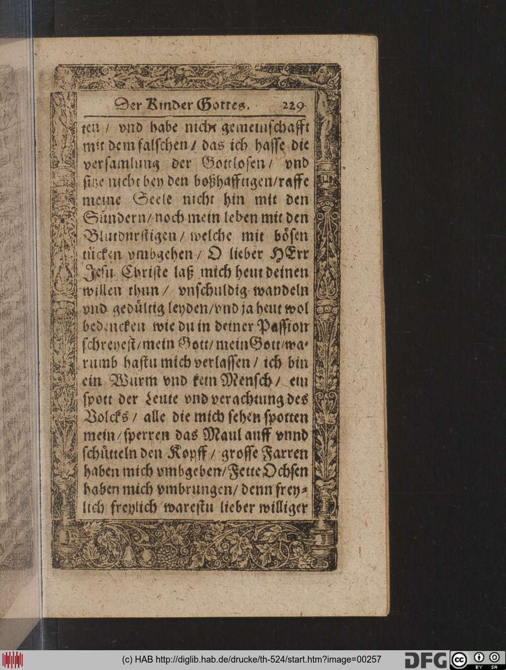 http://diglib.hab.de/drucke/th-524/00257.jpg