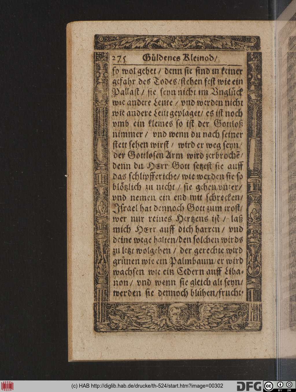 http://diglib.hab.de/drucke/th-524/00302.jpg