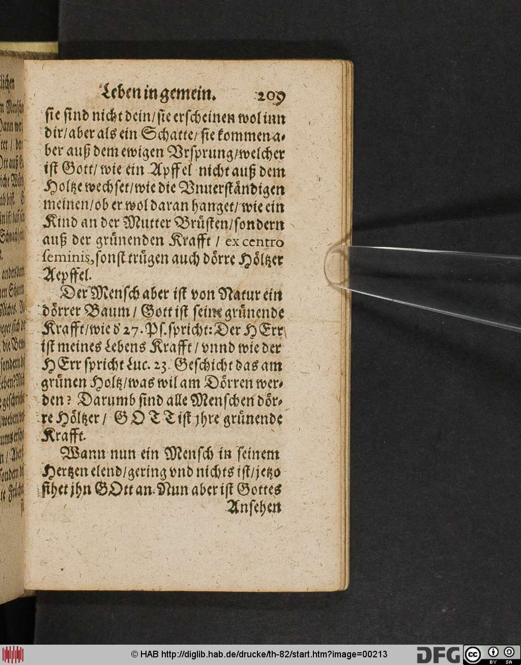 http://diglib.hab.de/drucke/th-82/00213.jpg