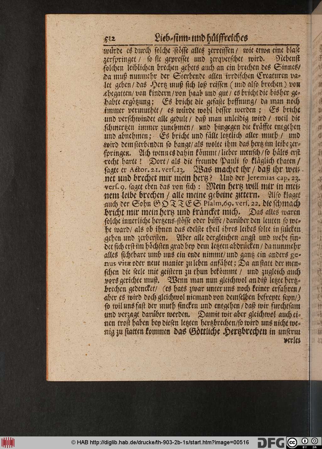 http://diglib.hab.de/drucke/th-903-2b-1s/00516.jpg