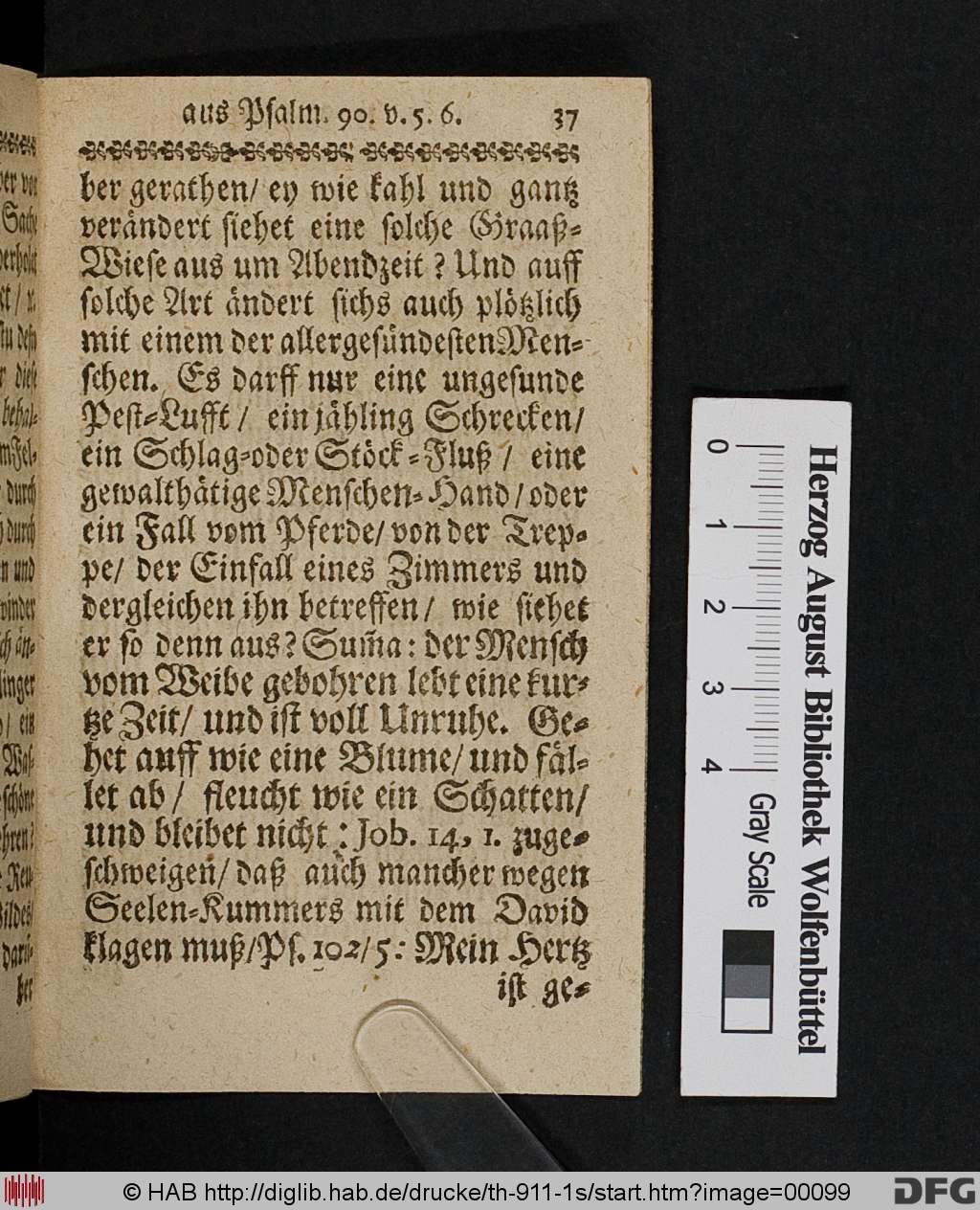 http://diglib.hab.de/drucke/th-911-1s/00099.jpg