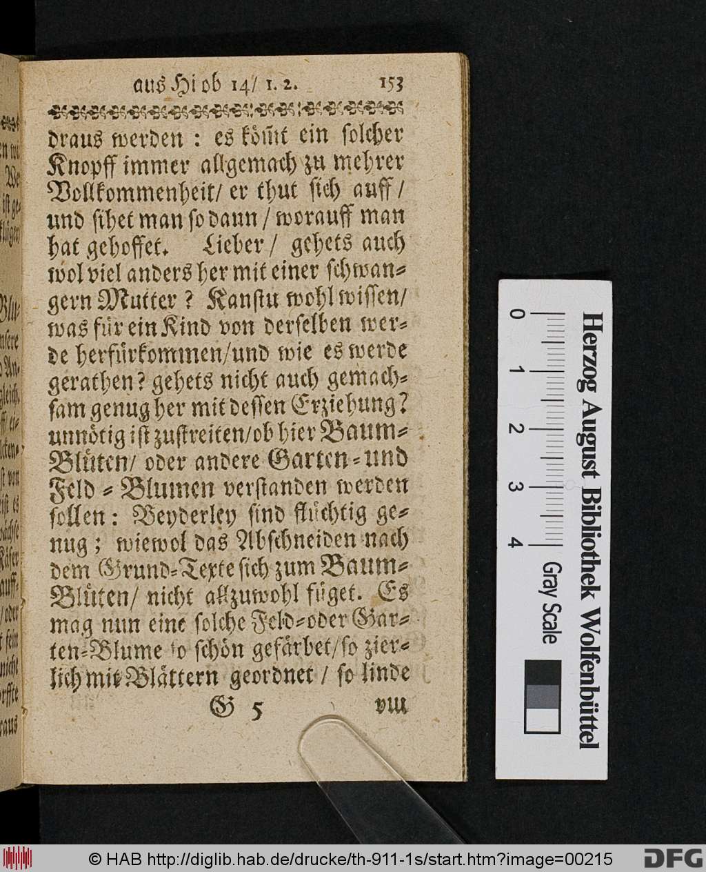http://diglib.hab.de/drucke/th-911-1s/00215.jpg