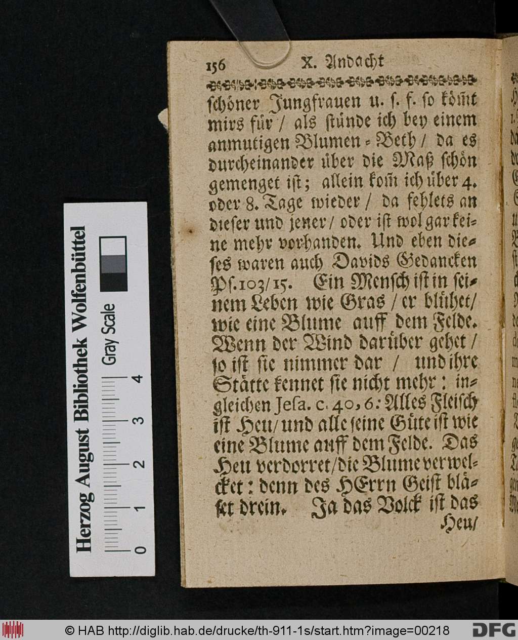 http://diglib.hab.de/drucke/th-911-1s/00218.jpg