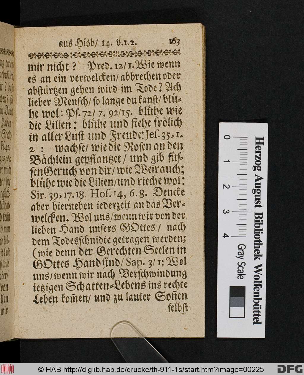 http://diglib.hab.de/drucke/th-911-1s/00225.jpg