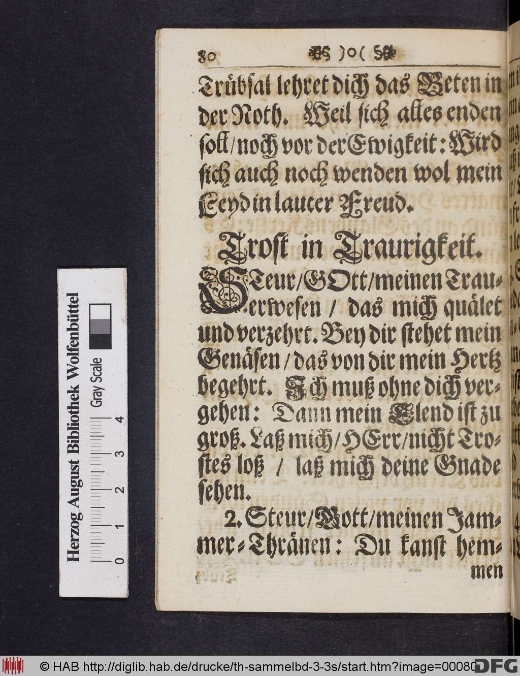 http://diglib.hab.de/drucke/th-sammelbd-3-3s/00080.jpg