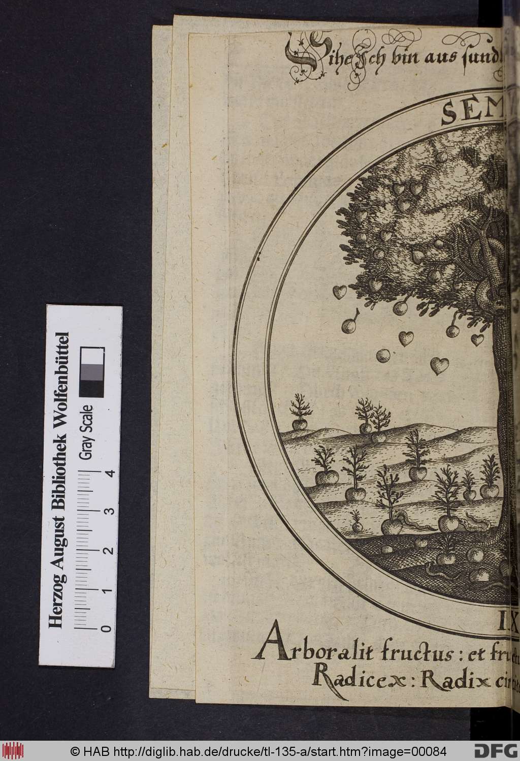 http://diglib.hab.de/drucke/tl-135-a/00084.jpg