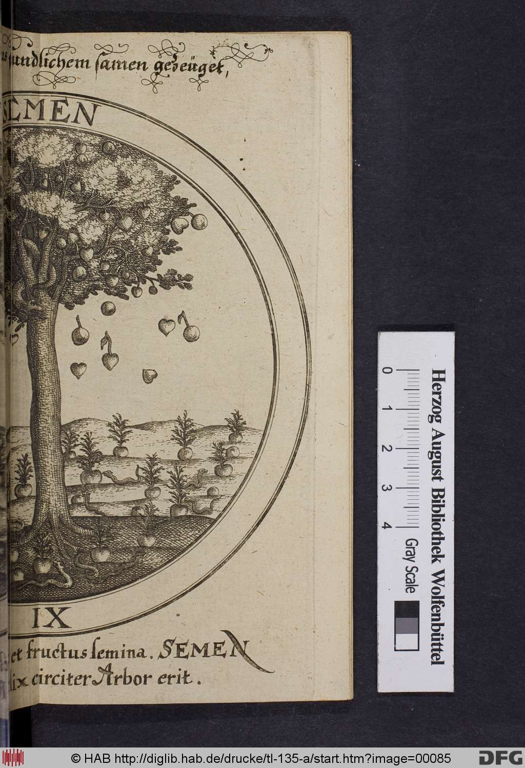 http://diglib.hab.de/drucke/tl-135-a/00085.jpg