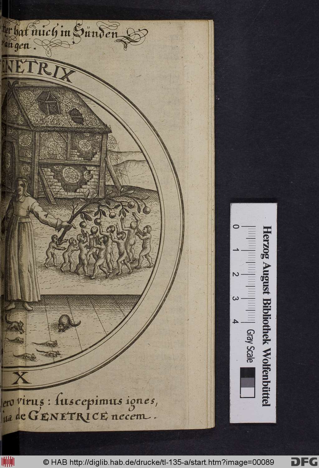 http://diglib.hab.de/drucke/tl-135-a/00089.jpg