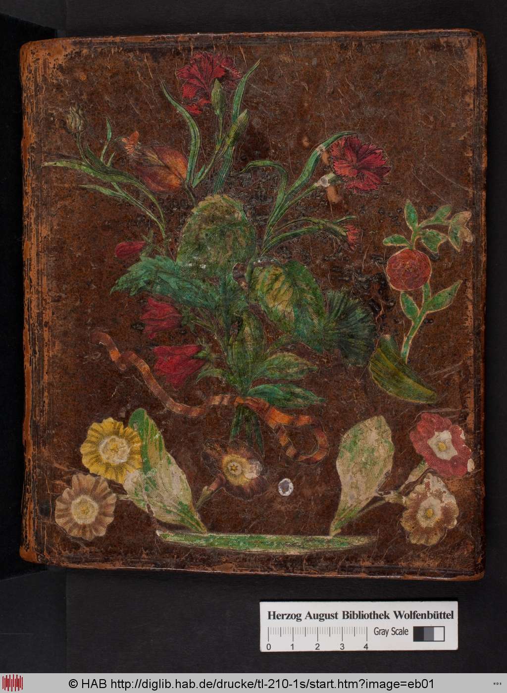 http://diglib.hab.de/drucke/tl-210-1s/eb01.jpg