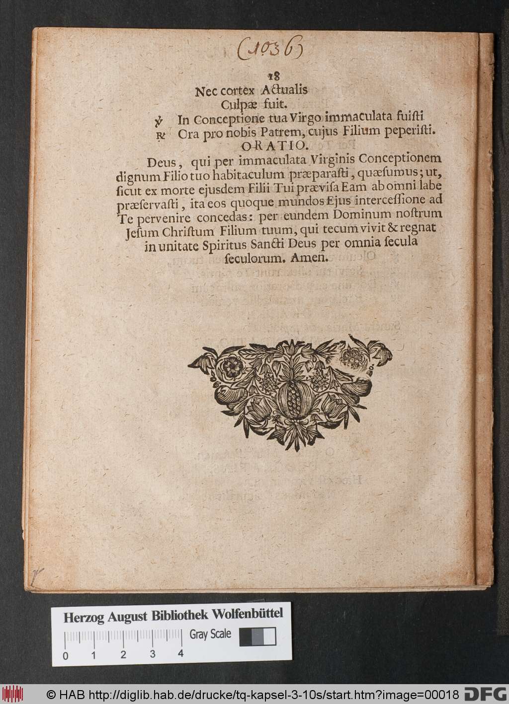 http://diglib.hab.de/drucke/tq-kapsel-3-10s/00018.jpg