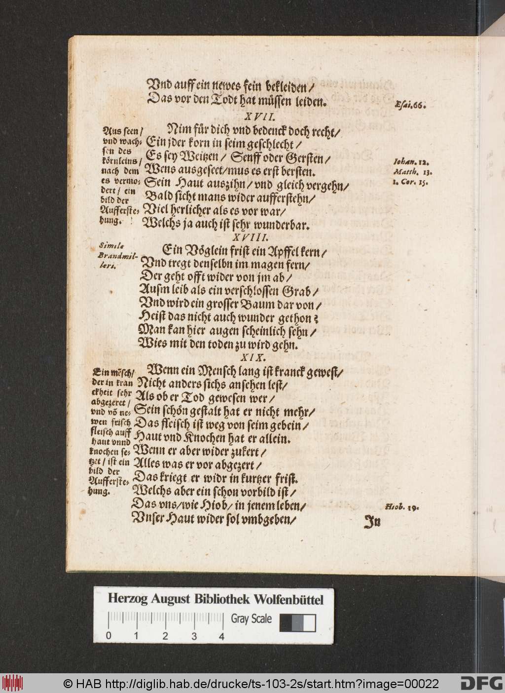 http://diglib.hab.de/drucke/ts-103-2s/00022.jpg