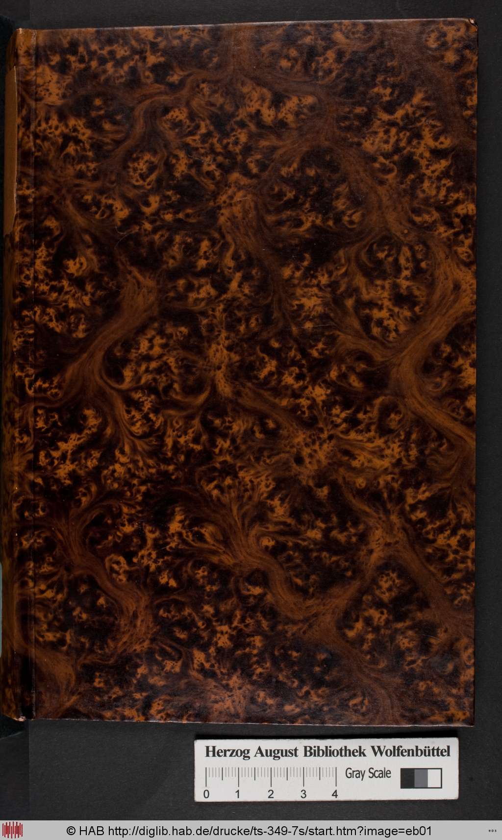 http://diglib.hab.de/drucke/ts-349-7s/eb01.jpg