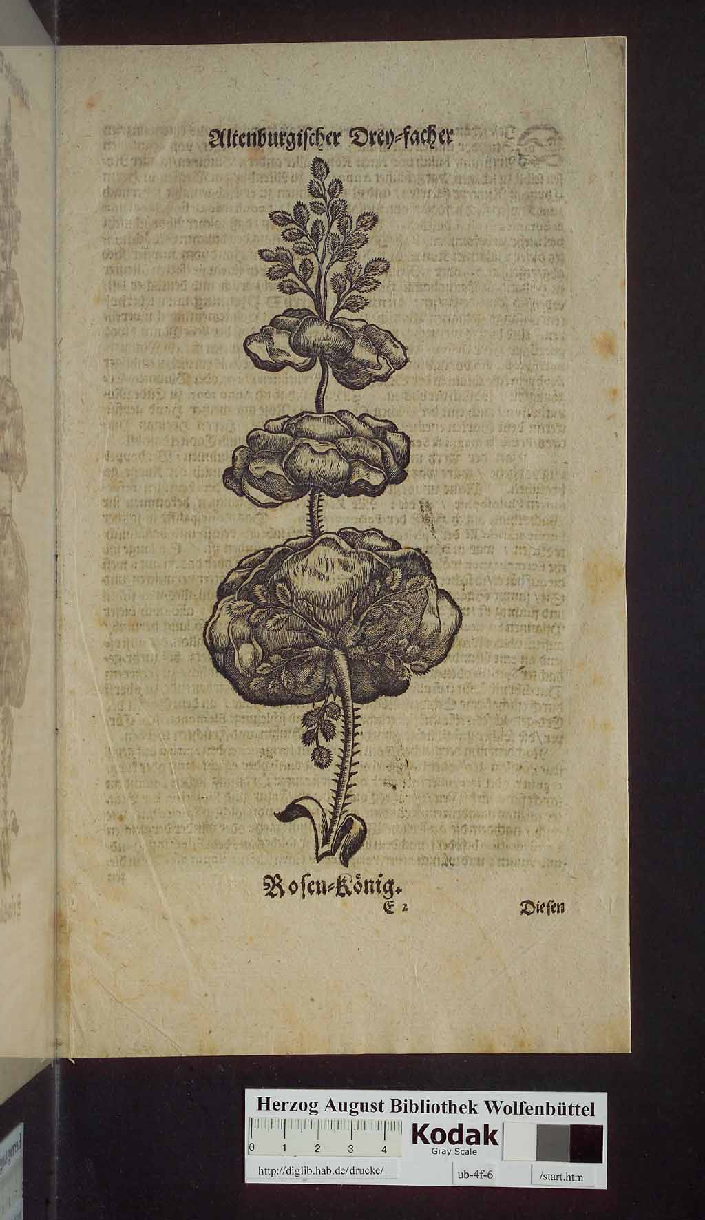 http://diglib.hab.de/drucke/ub-4f-6/00039.jpg