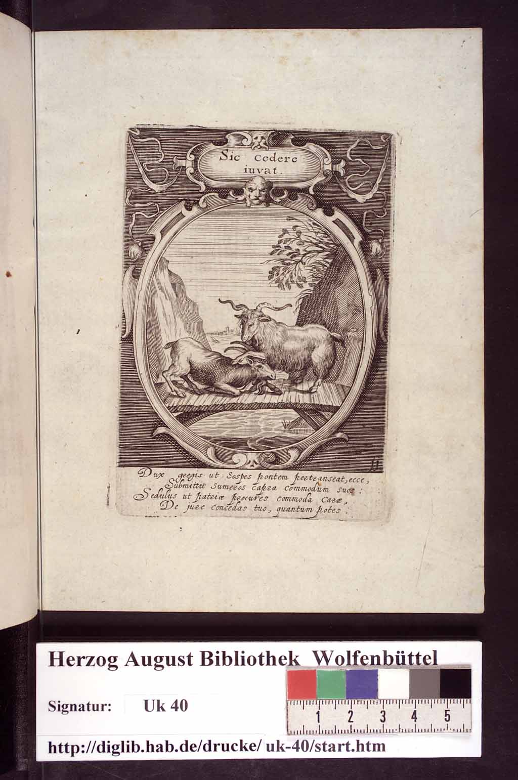 http://diglib.hab.de/drucke/uk-40/00042.jpg