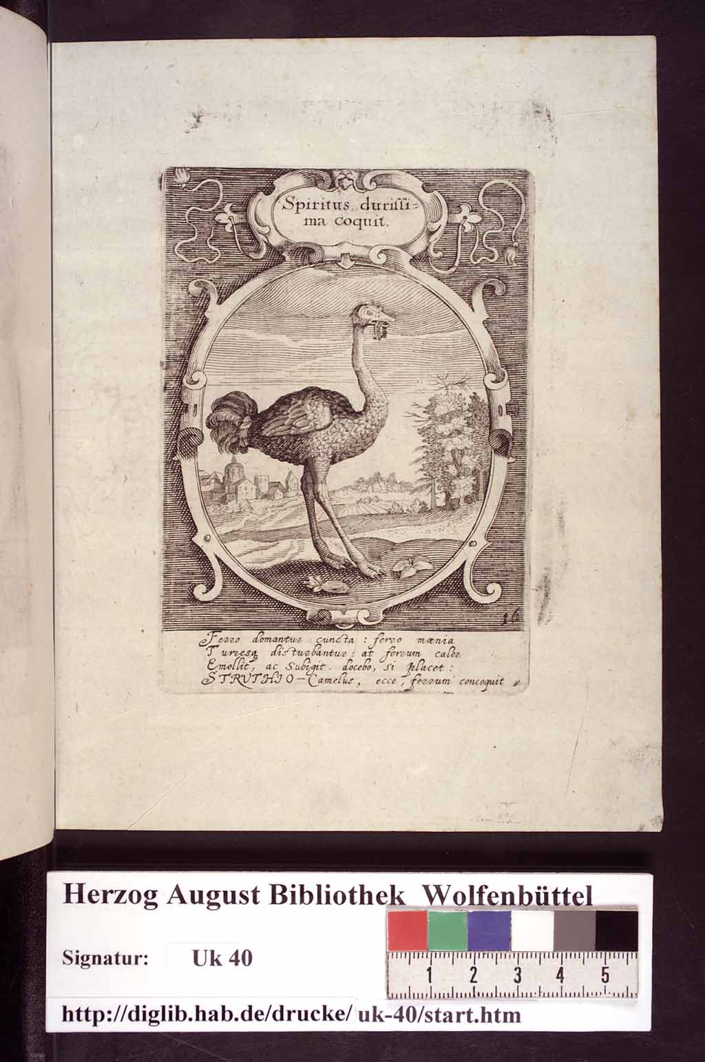 http://diglib.hab.de/drucke/uk-40/00052.jpg