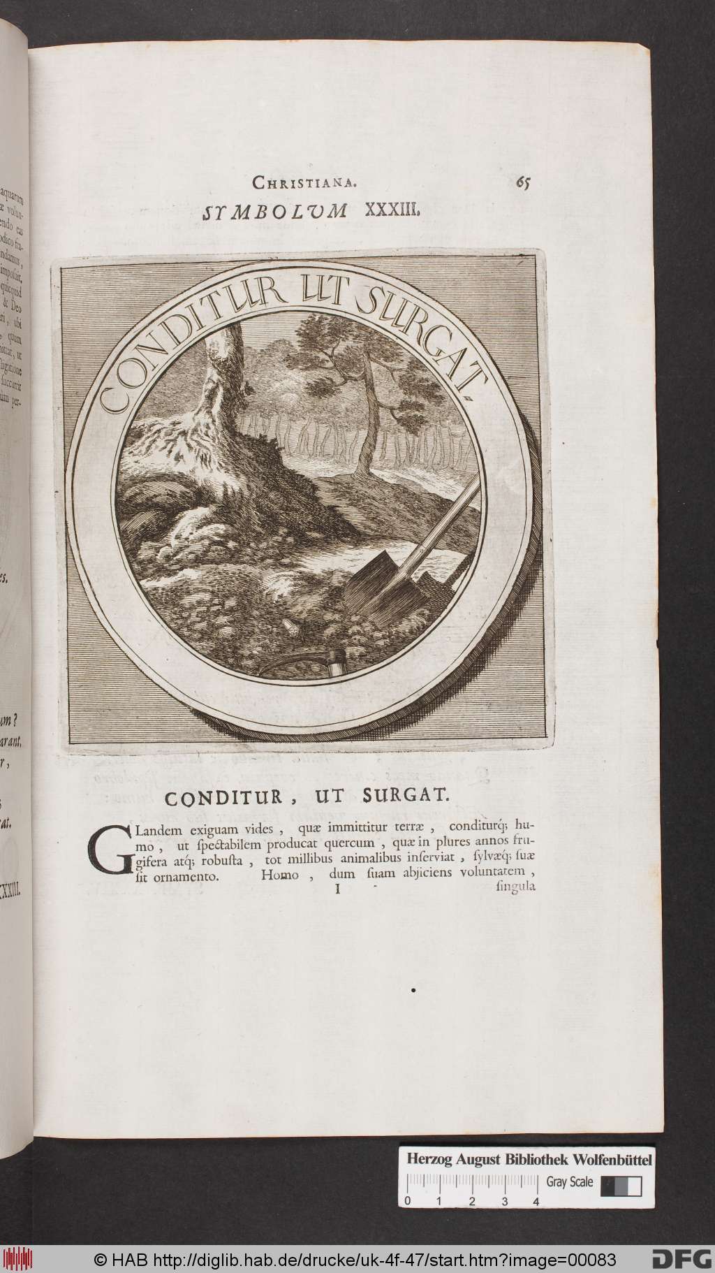 http://diglib.hab.de/drucke/uk-4f-47/00083.jpg