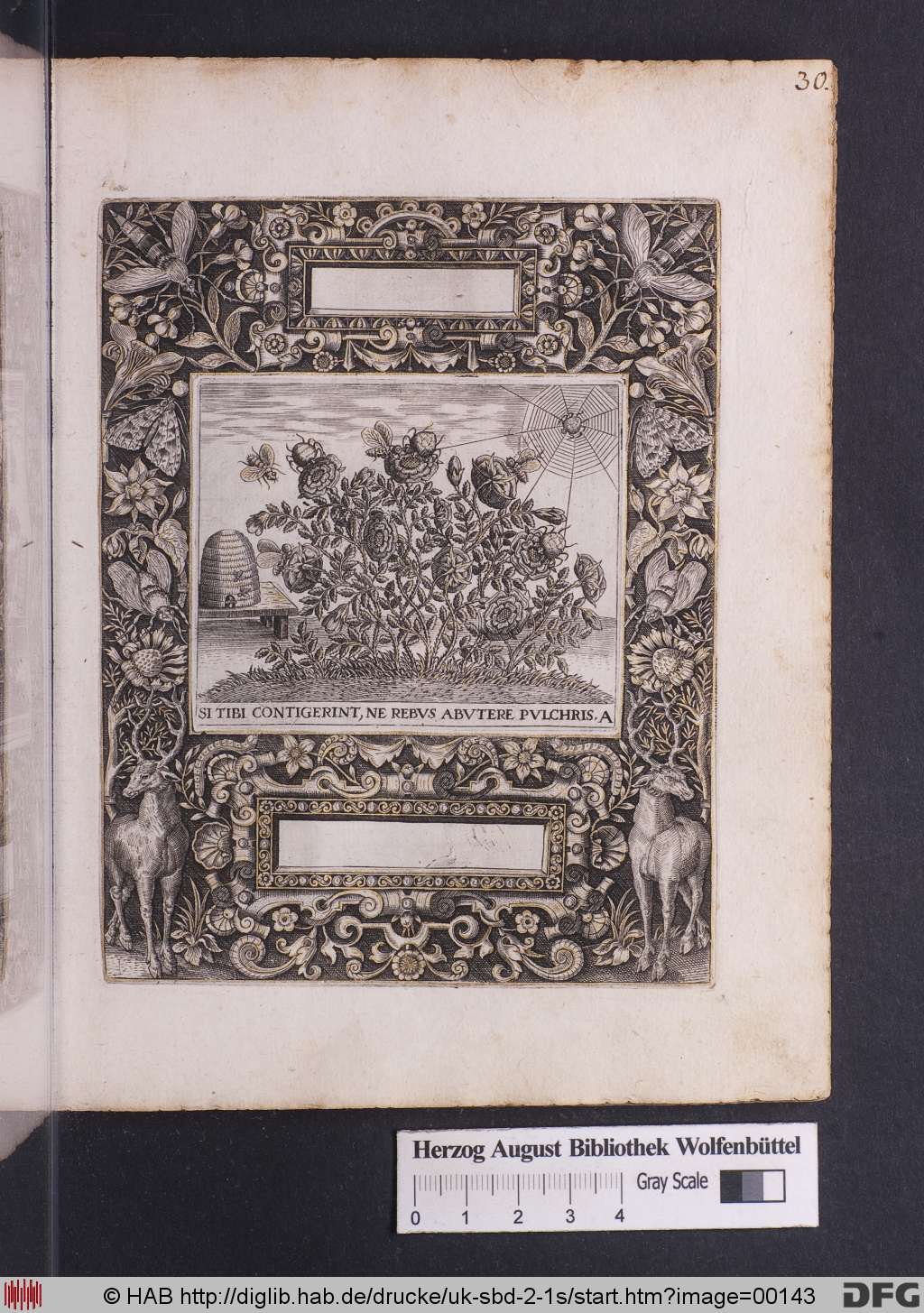 http://diglib.hab.de/drucke/uk-sbd-2-1s/00143.jpg