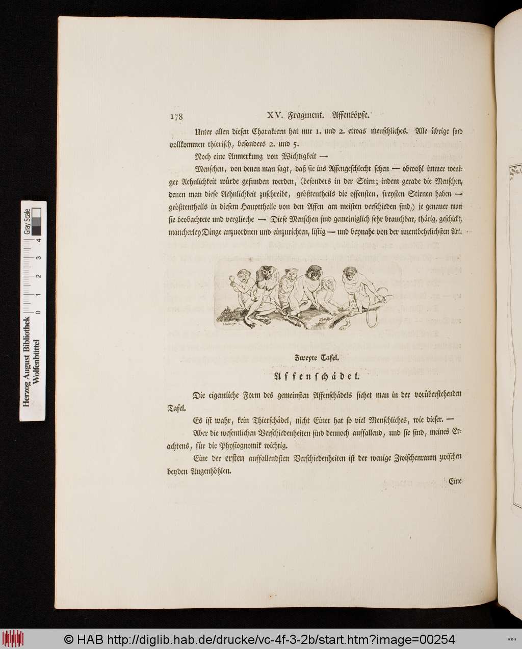 http://diglib.hab.de/drucke/vc-4f-3-2b/00254.jpg